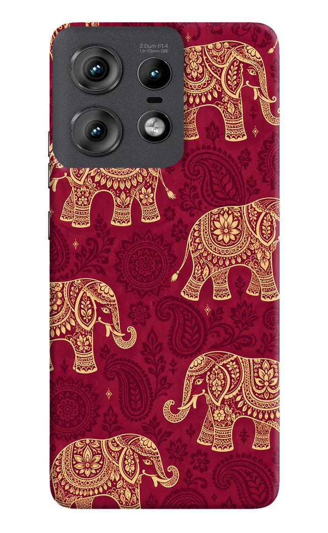 Maroon Elephant Moto Edge 50 Pro 5G Hard Case Back Cover by Casekaro