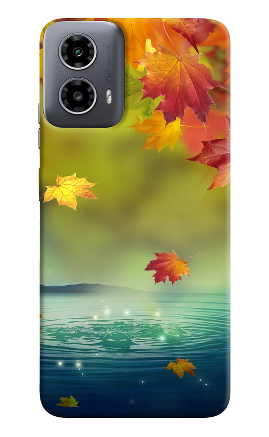 Flowers Moto G34 5G Back Cover