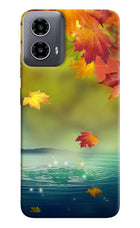 Flowers Moto G34 5G Hard Case Back Cover by Casekaro