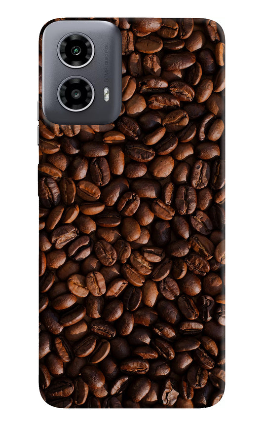 Coffee Beans Moto G34 5G Back Cover
