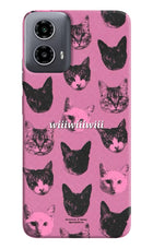 Pink Cats Moto G34 5G Hard Case Back Cover by Casekaro