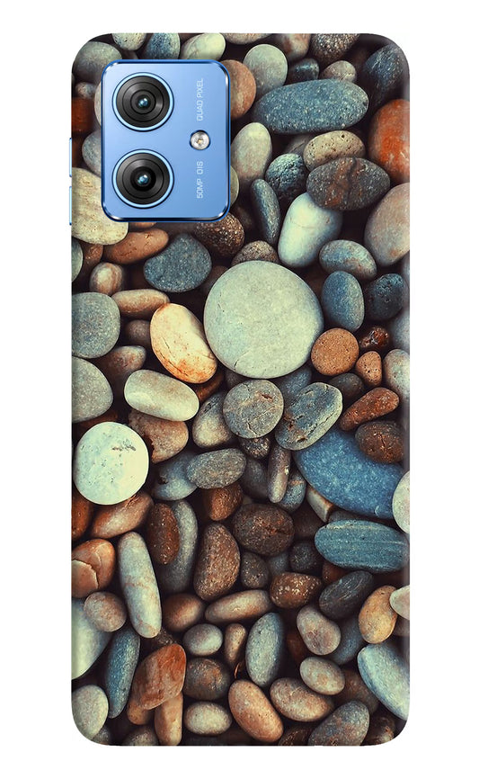 Pebble Moto G64 5G Hard Case Back Cover by Casekaro