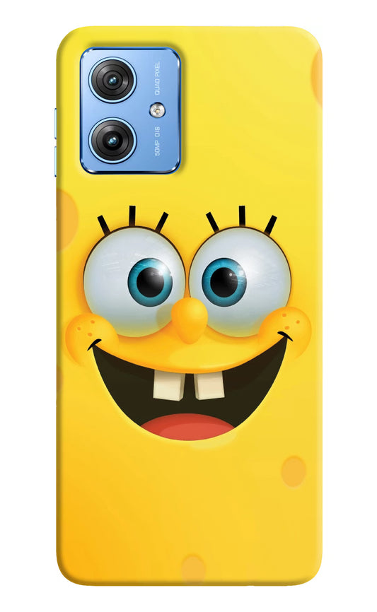 Sponge 1 Moto G64 5G Hard Case Back Cover by Casekaro