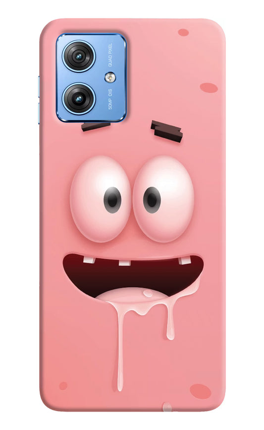 Sponge 2 Moto G64 5G Hard Case Back Cover by Casekaro