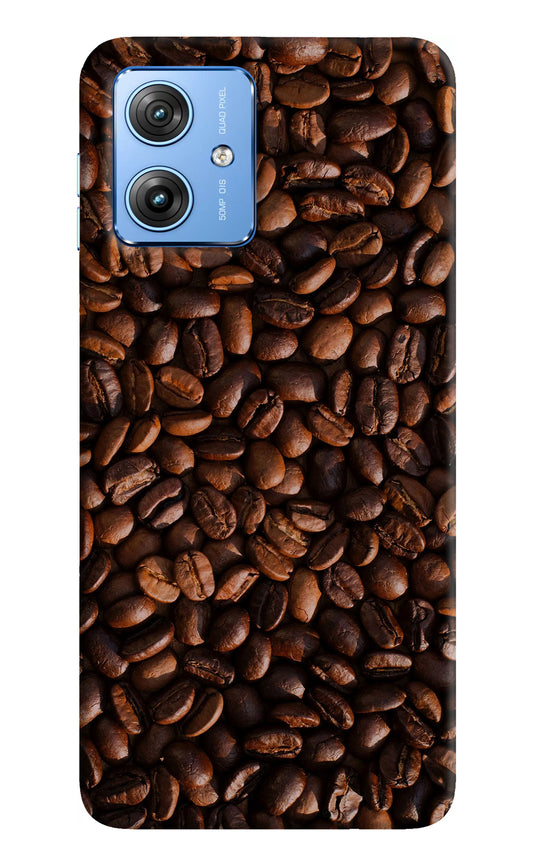 Coffee Beans Moto G64 5G Back Cover