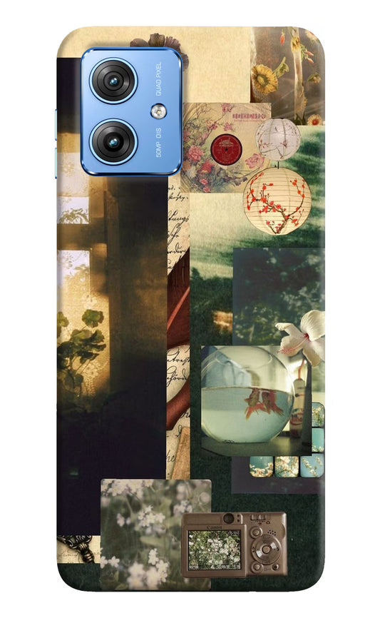 Summer Moto G64 5G Back Cover