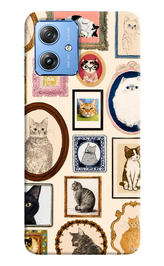 Mirror Cats Moto G64 5G Hard Case Back Cover by Casekaro