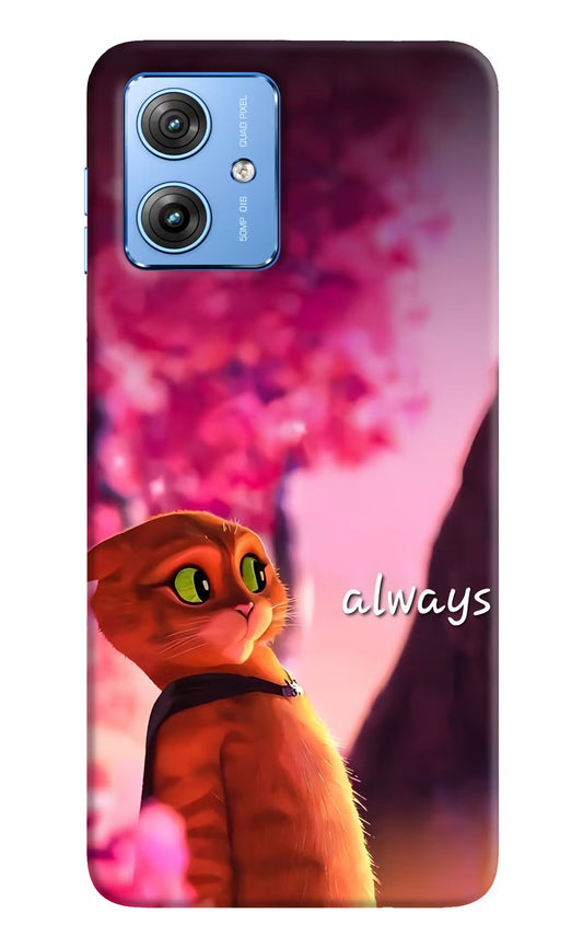Always Cat Moto G64 5G Back Cover