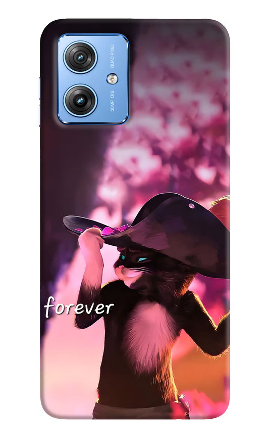 Forever Cat Moto G64 5G Back Cover