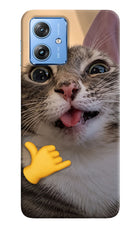 Silly Cat Call Moto G64 5G Hard Case Back Cover by Casekaro