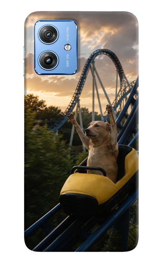 Rollercoaster Dog Moto G64 5G Hard Case Back Cover by Casekaro