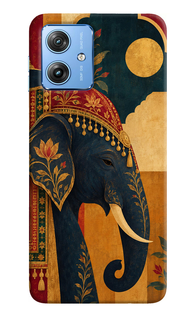 Royal Elephant Moto G64 5G Hard Case Back Cover by Casekaro