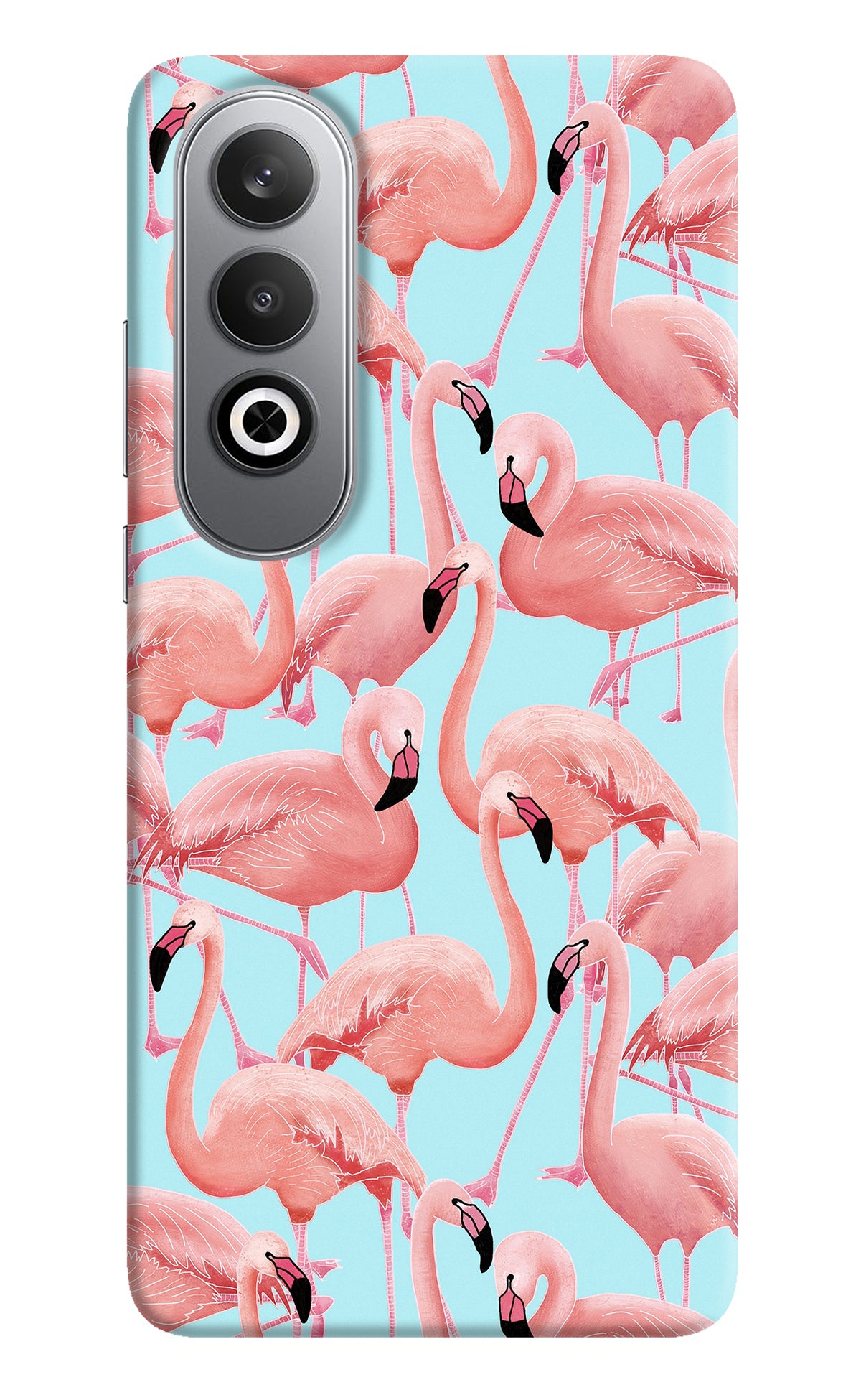 Flamboyance Oneplus Nord CE4 Back Cover