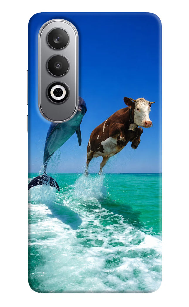 Dolphin vs Cow Oneplus Nord CE4 Hard Case Back Cover by Casekaro