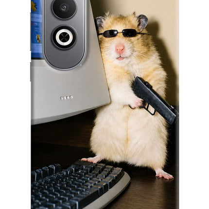 Hacker Hamster Oneplus Nord CE4 Hard Case Back Cover by Casekaro