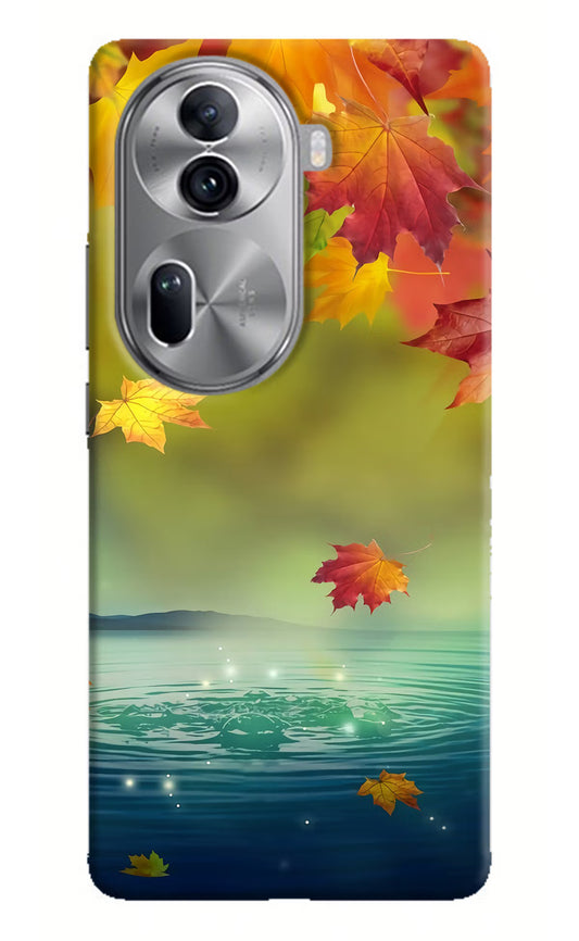 Flowers Oppo Reno11 Pro 5G Hard Case Back Cover by Casekaro