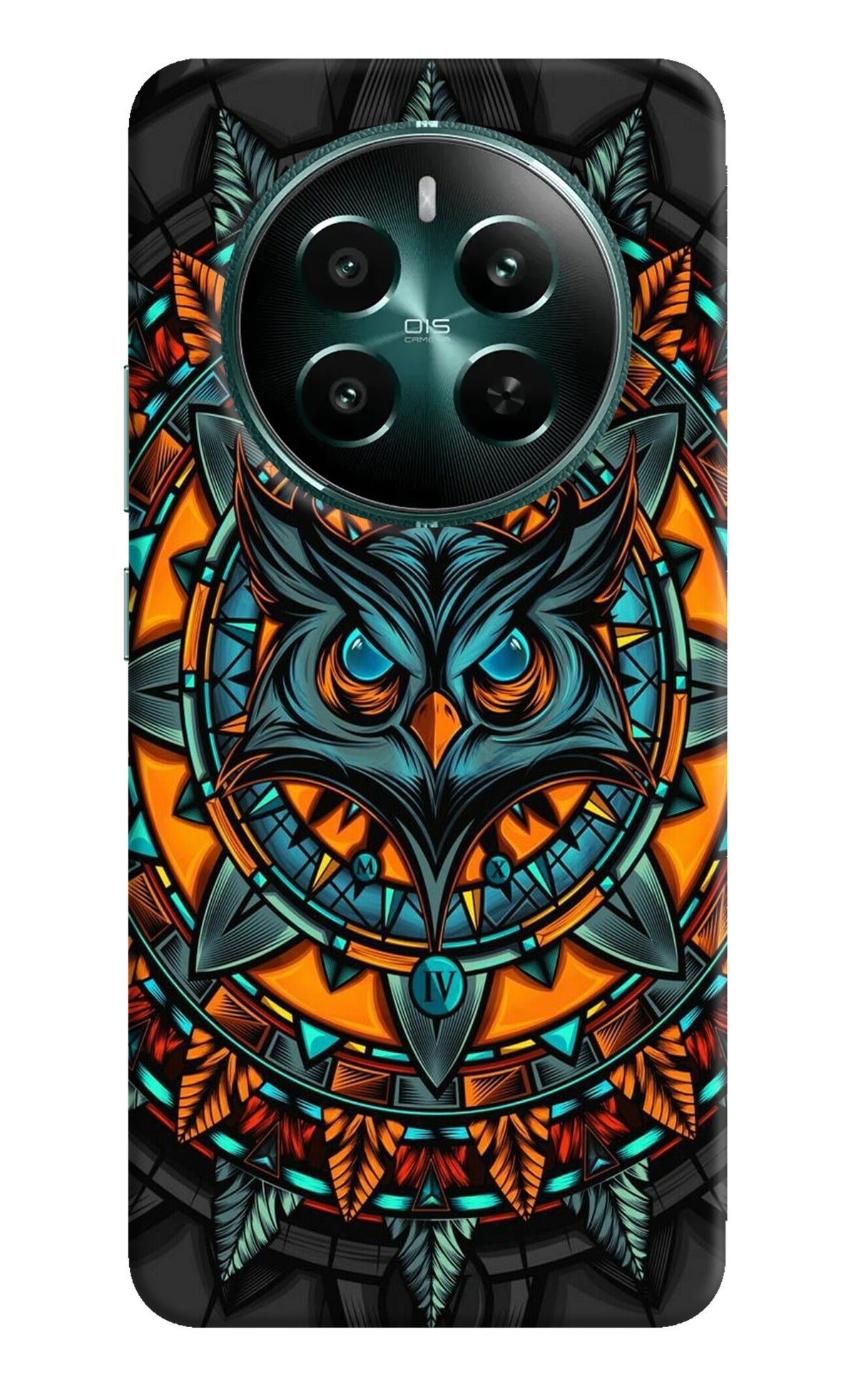 Angry Owl Art Realme 12+ 5G Back Cover