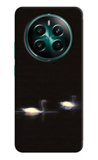 Silent Swans Realme 12+ 5G Back Cover
