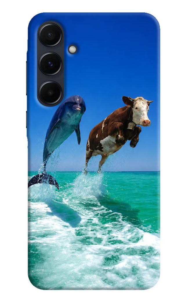 Dolphin vs Cow Samsung A35 5G Hard Case Back Cover by Casekaro