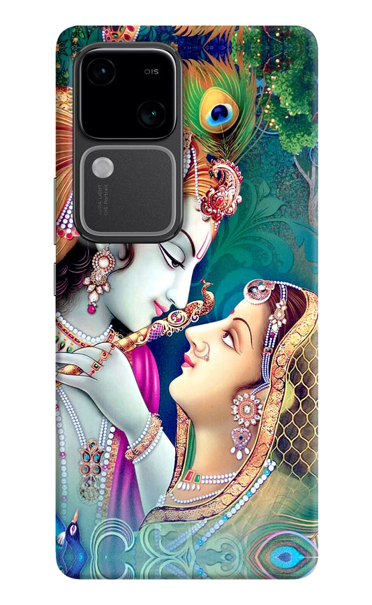 Lord Radha Krishna Vivo V30 5G Back Cover