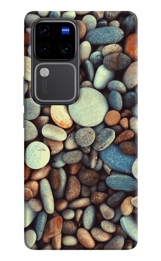 Pebble Vivo V30 Pro 5G Hard Case Back Cover by Casekaro