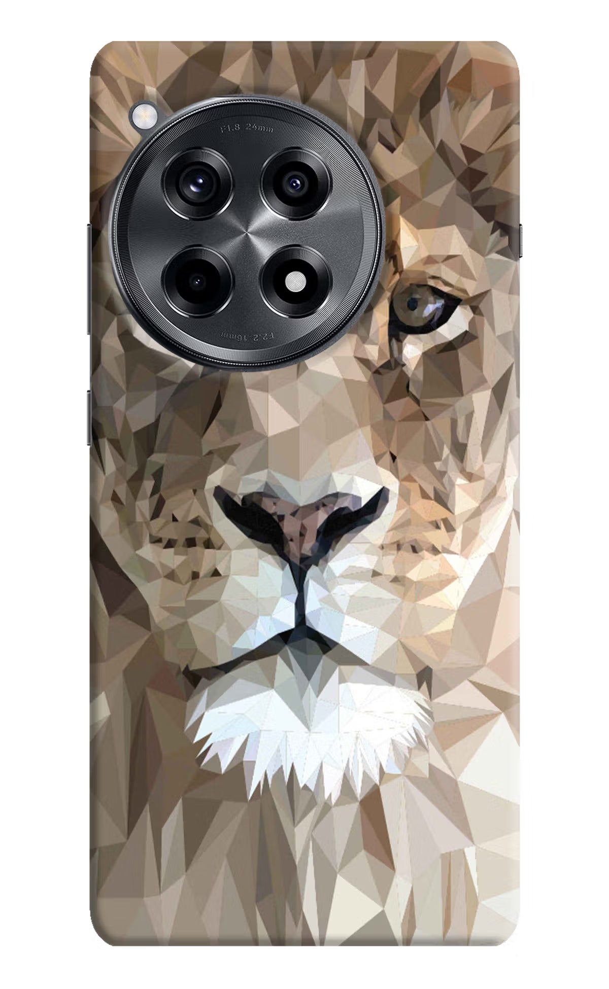Lion Art OnePlus 12R Hard Case Back Cover by Casekaro