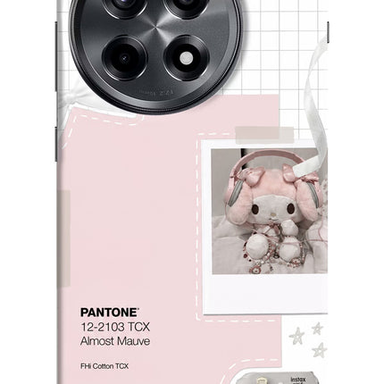 Pantone Asthetic OnePlus 12R Hard Case Back Cover by Casekaro