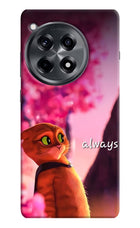 Always Cat OnePlus 12R Hard Case Back Cover by Casekaro