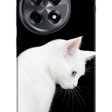 Snow Gaze OnePlus 12R Hard Case Back Cover by Casekaro