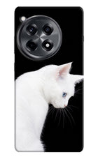 Snow Gaze OnePlus 12R Hard Case Back Cover by Casekaro
