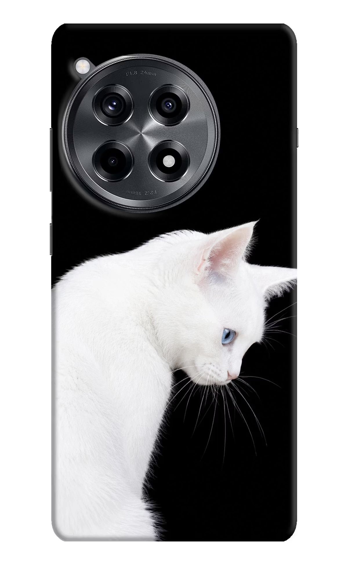 Snow Gaze OnePlus 12R Back Cover