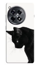 Shadow Gaze OnePlus 12R Hard Case Back Cover by Casekaro