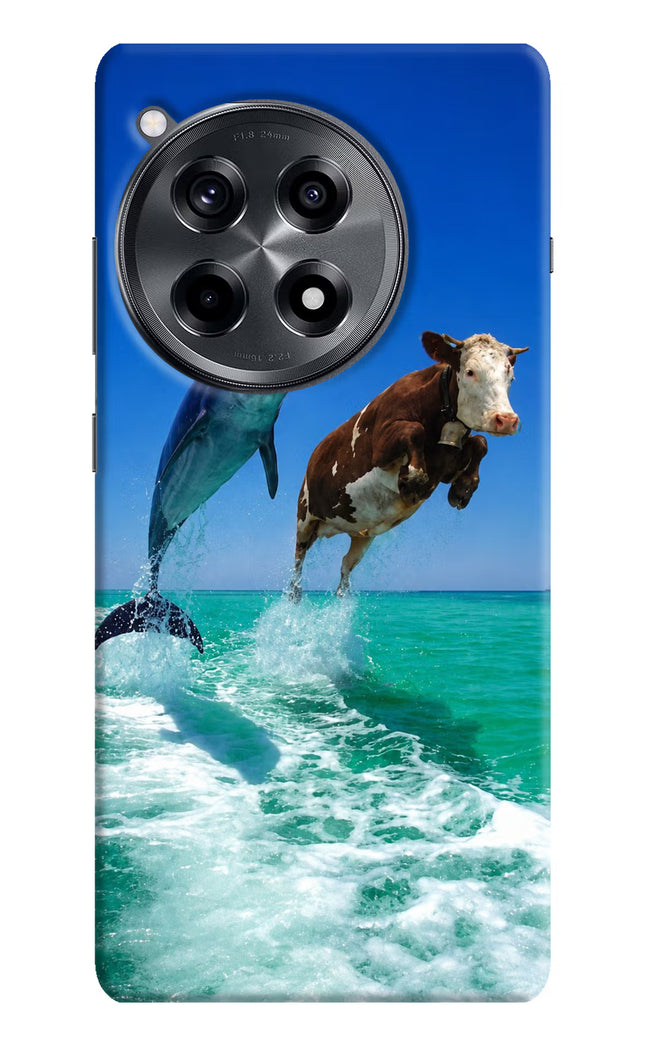 Dolphin vs Cow OnePlus 12R Hard Case Back Cover by Casekaro