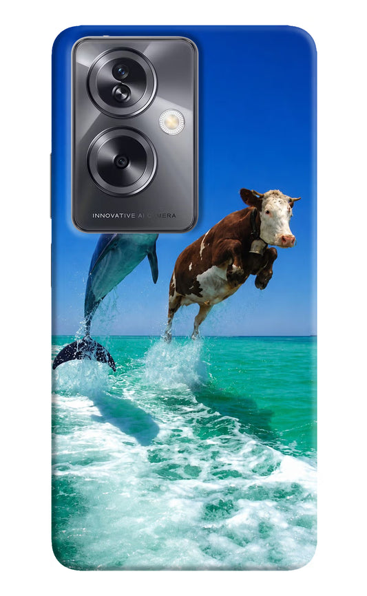 Dolphin vs Cow Oppo A79 5G Hard Case Back Cover by Casekaro