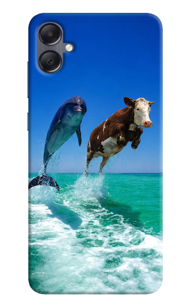 Dolphin vs Cow Samsung A05 Hard Case Back Cover by Casekaro