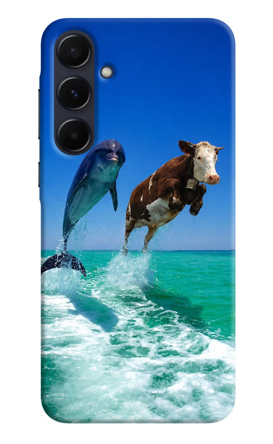 Dolphin vs Cow Samsung A55 5G Hard Case Back Cover by Casekaro