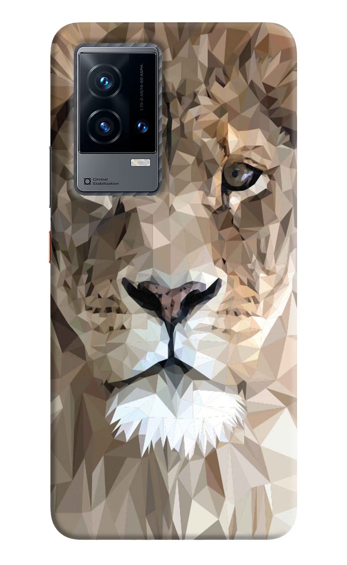 Lion Art iQOO 9 5G Hard Case Back Cover by Casekaro