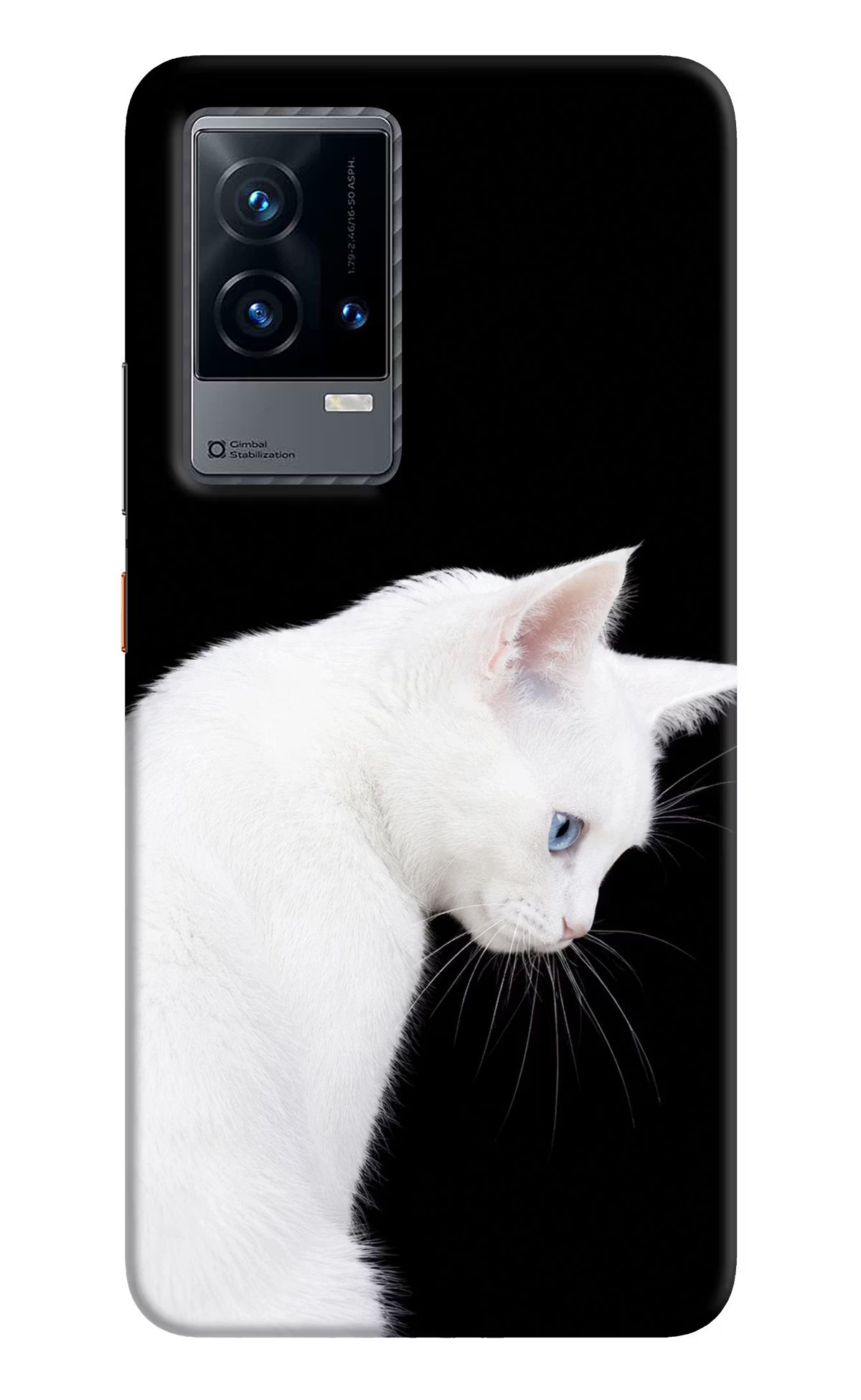 Snow Gaze iQOO 9 5G Back Cover
