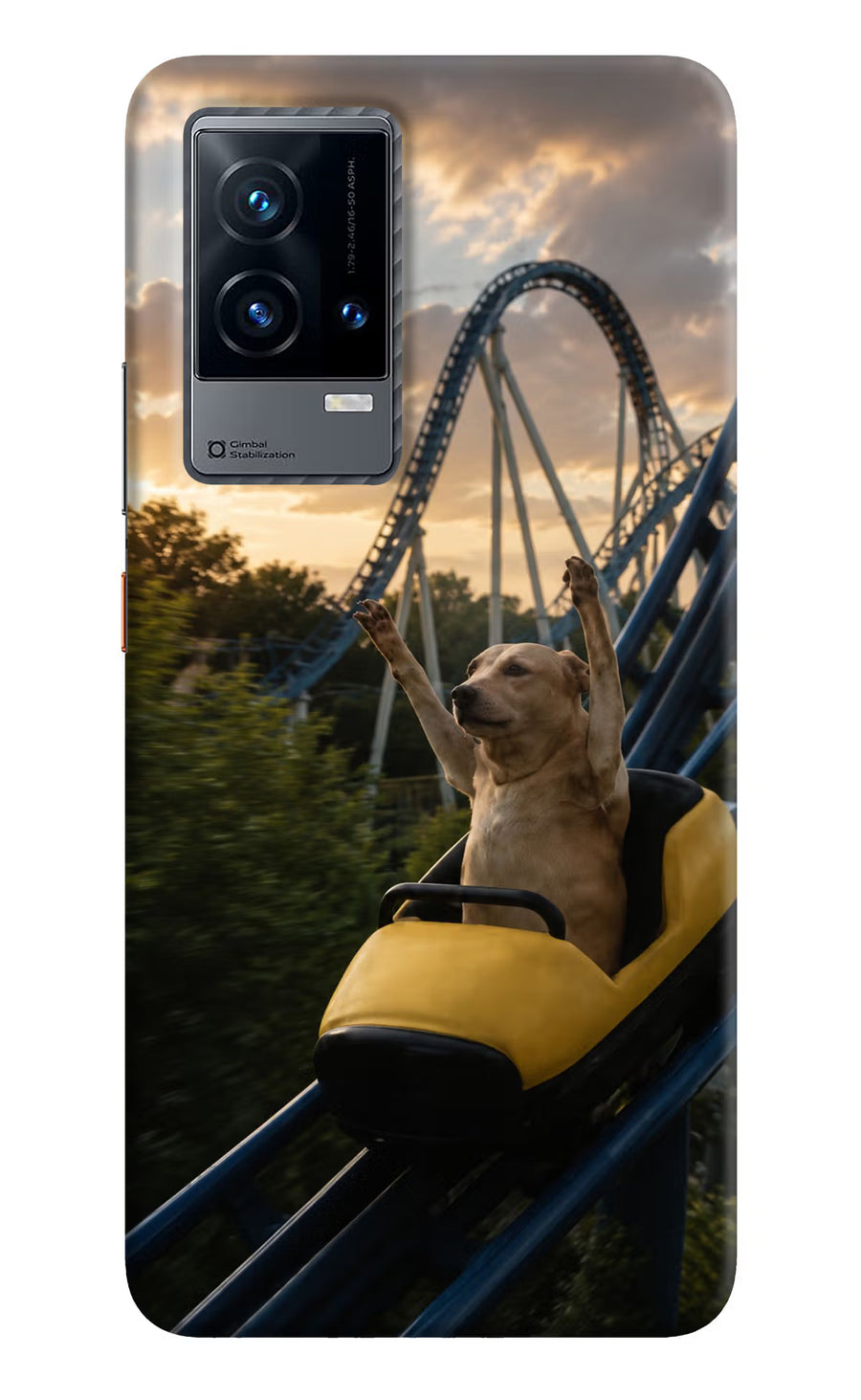 Rollercoaster Dog iQOO 9 5G Back Cover, Hard case
