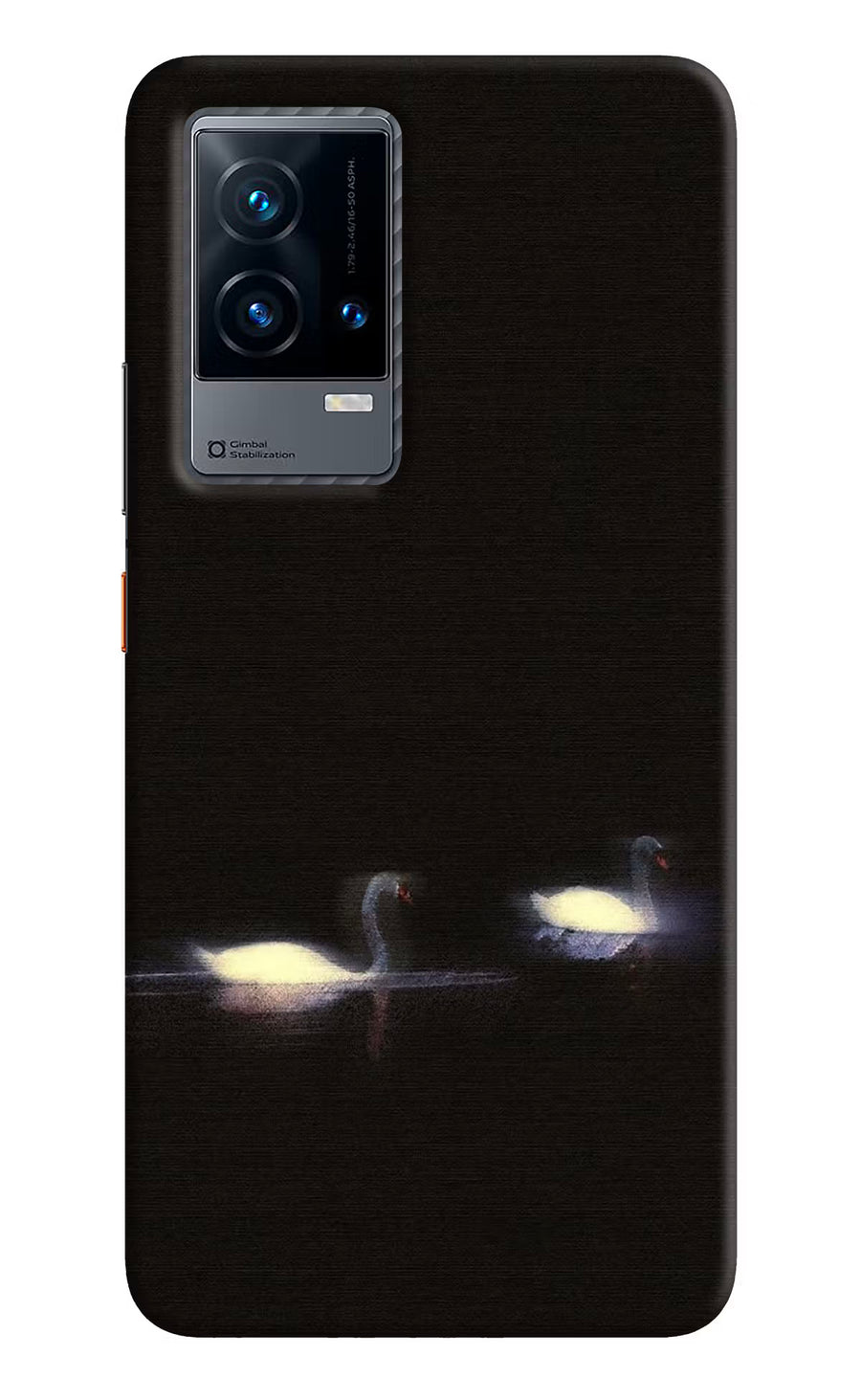 Silent Swans iQOO 9 5G Back Cover, Hard case