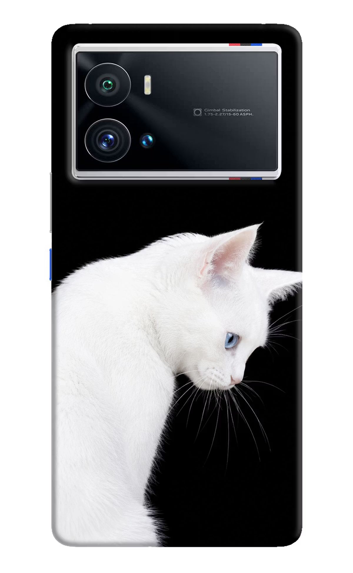 Snow Gaze iQOO 9 Pro 5G Back Cover