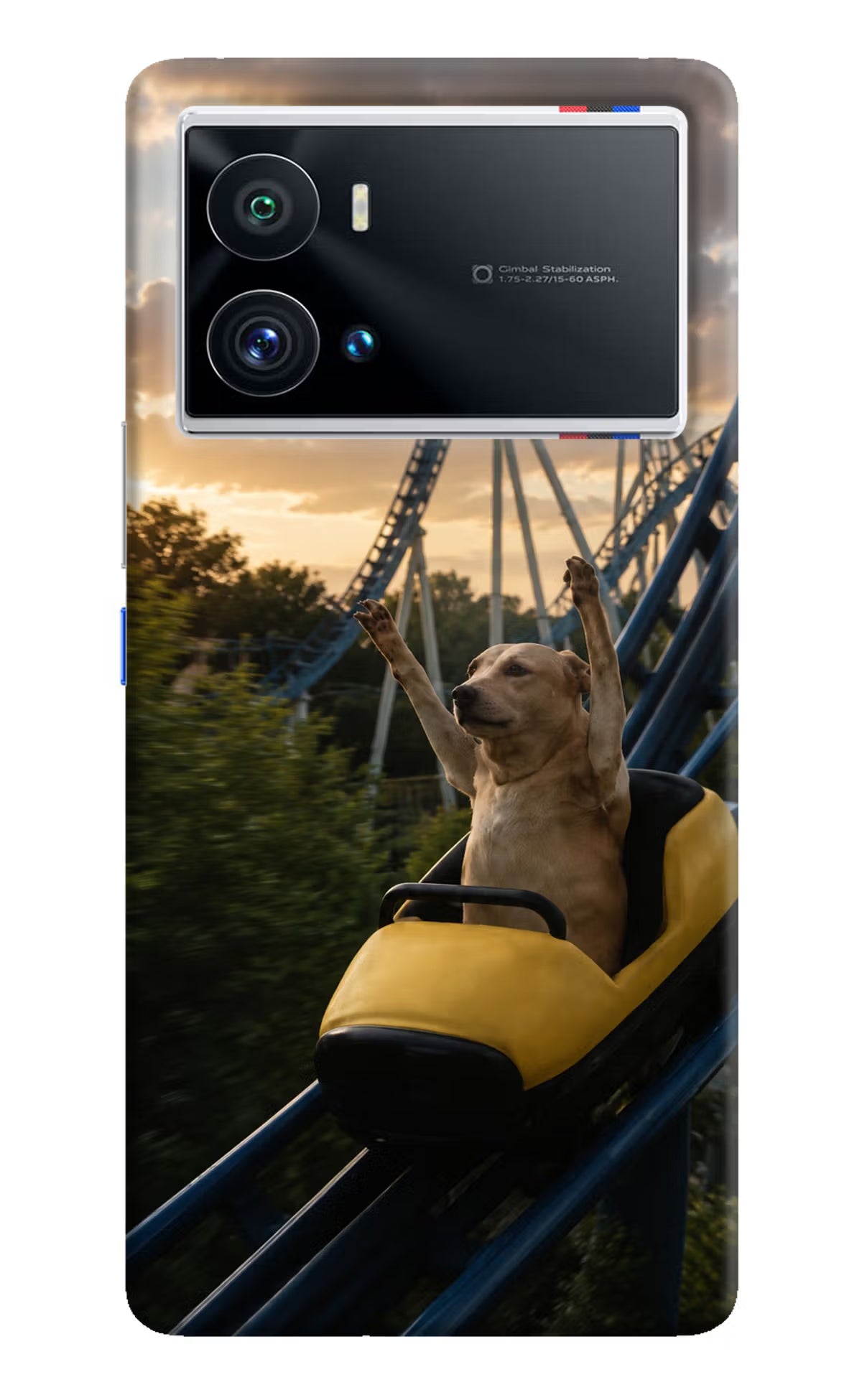 Rollercoaster Dog iQOO 9 Pro 5G Back Cover