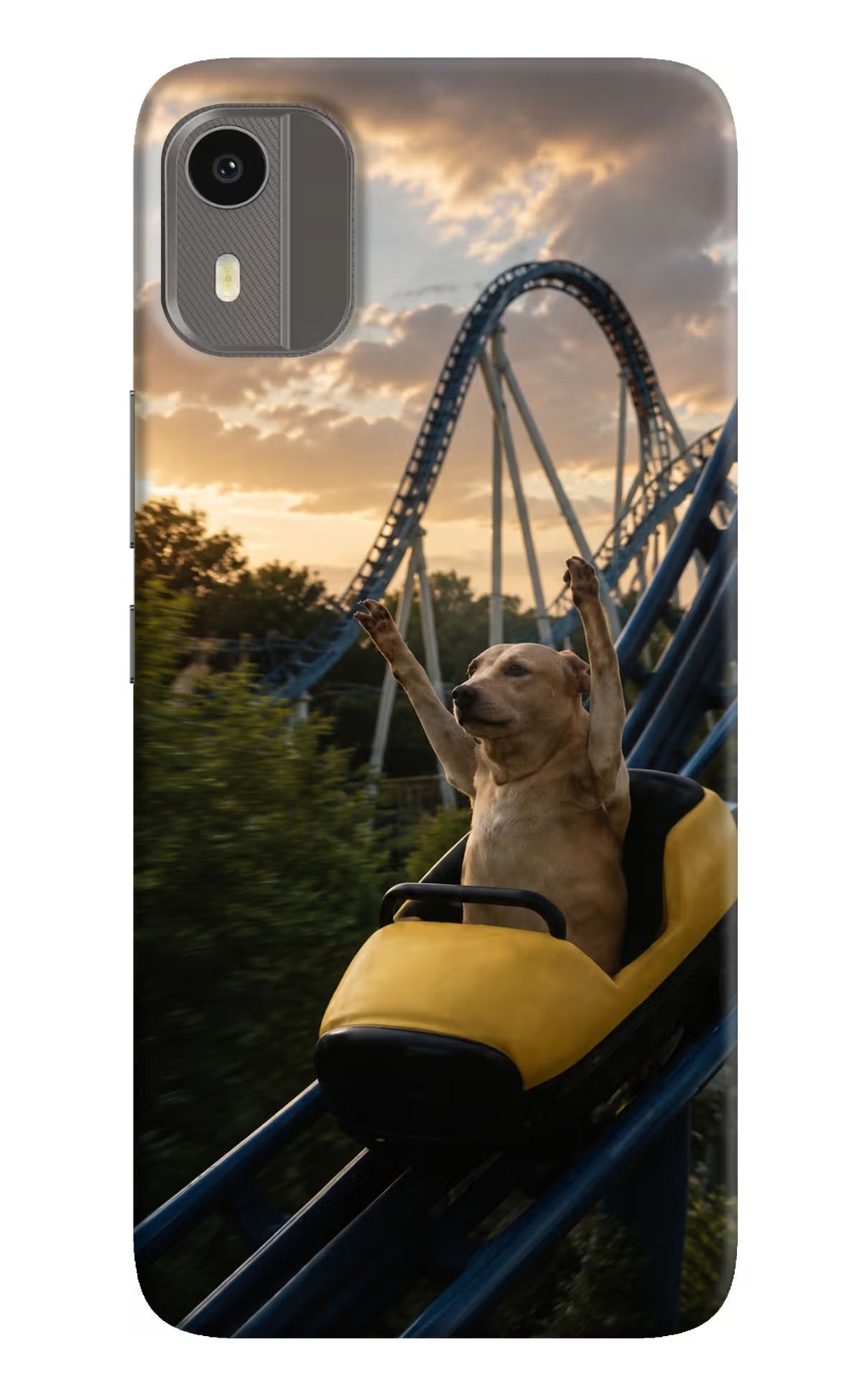Rollercoaster Dog Nokia C12/C12 Pro Back Cover
