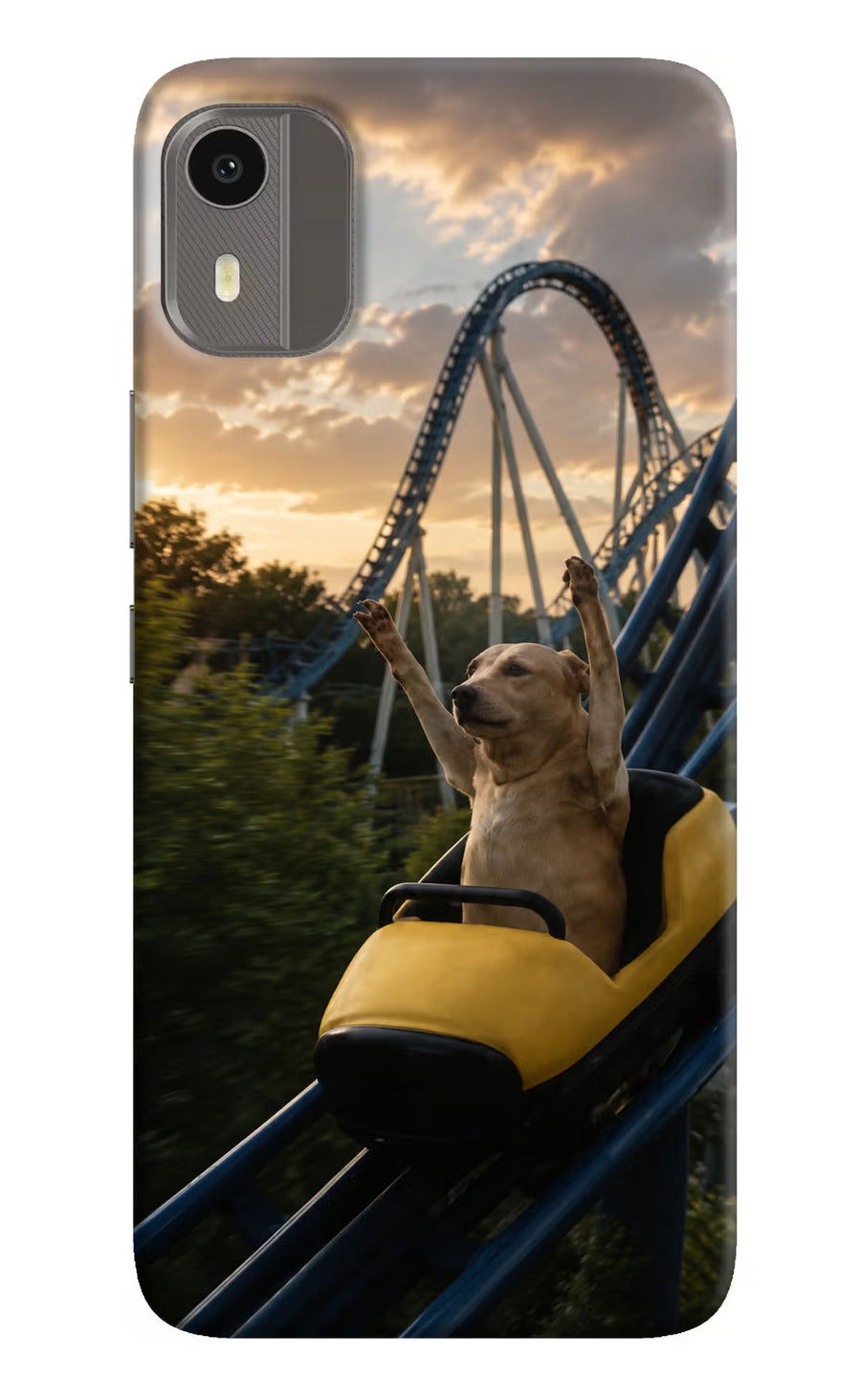 Rollercoaster Dog Nokia C12/C12 Pro Back Cover, Hard case
