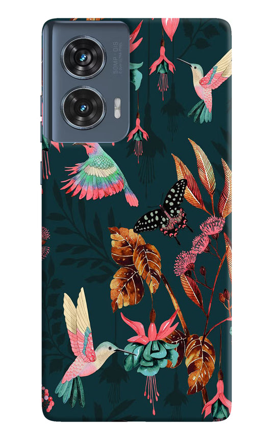 Birds Moto Edge 50 Fusion Hard Case Back Cover by Casekaro