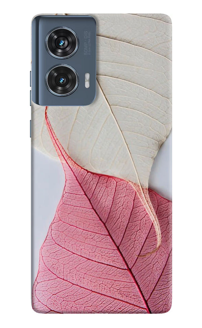 White Pink Leaf Moto Edge 50 Fusion Hard Case Back Cover by Casekaro