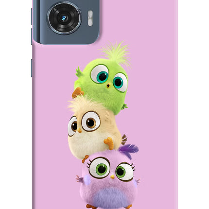 Cute Little Birds Moto Edge 50 Fusion Hard Case Back Cover by Casekaro
