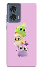 Cute Little Birds Moto Edge 50 Fusion Hard Case Back Cover by Casekaro