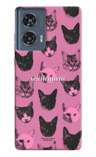 Pink Cats Moto Edge 50 Fusion Hard Case Back Cover by Casekaro
