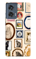 Mirror Cats Moto Edge 50 Fusion Hard Case Back Cover by Casekaro